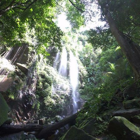 Belum Rainforest Resort Gerik Esterno foto