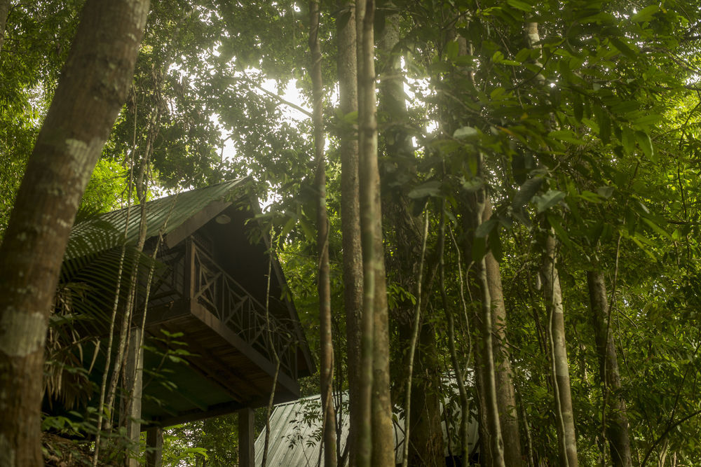 Belum Rainforest Resort Gerik Esterno foto