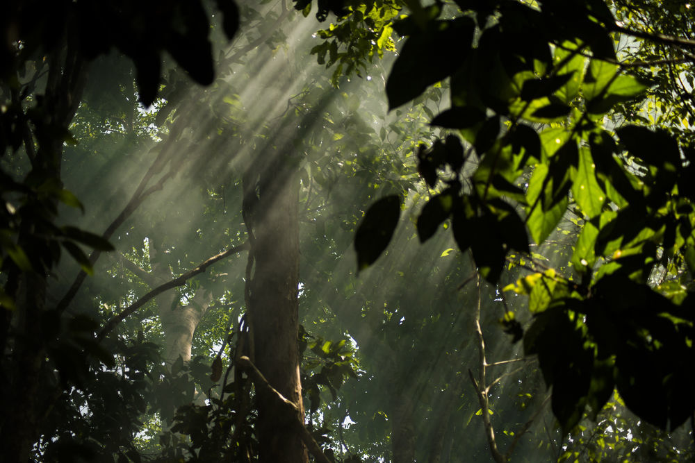 Belum Rainforest Resort Gerik Esterno foto