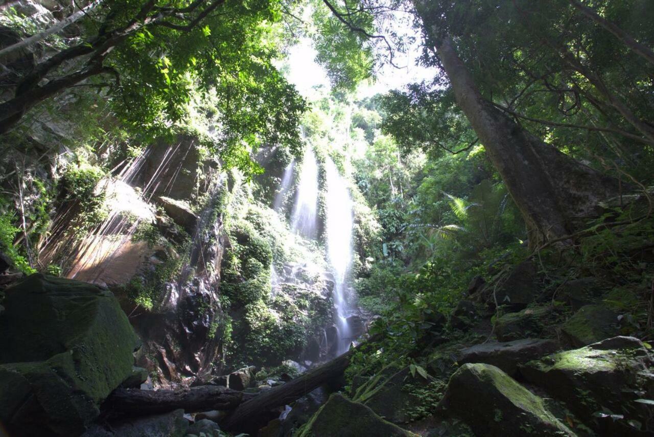 Belum Rainforest Resort Gerik Esterno foto